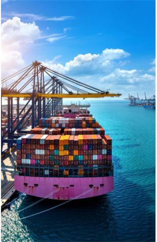 واردات کالا