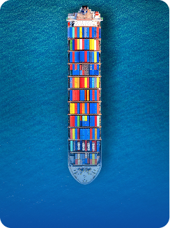 Import of Goods