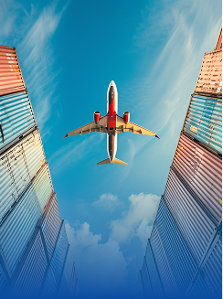 Air Transportation