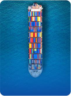 Import of Goods