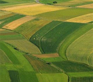 ترخیص قطعات کشاورزی